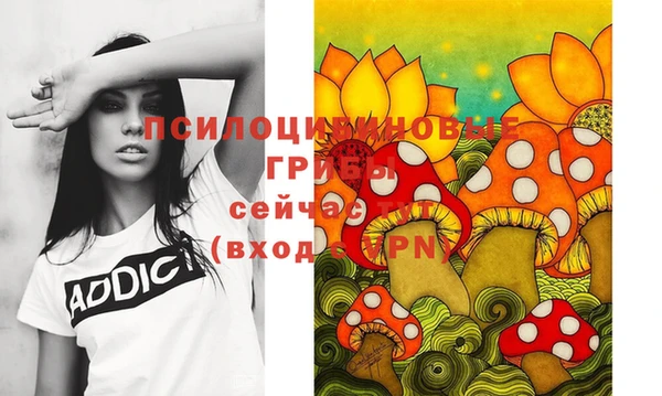 молекула духа Балахна