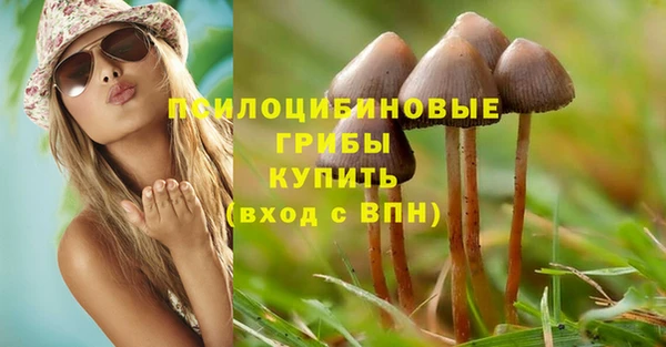 спиды Баксан