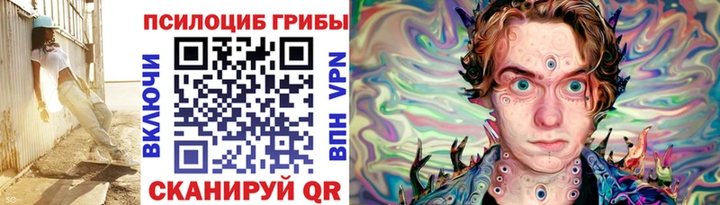 Галлюциногенные грибы GOLDEN TEACHER  mega рабочий сайт  Высоцк 