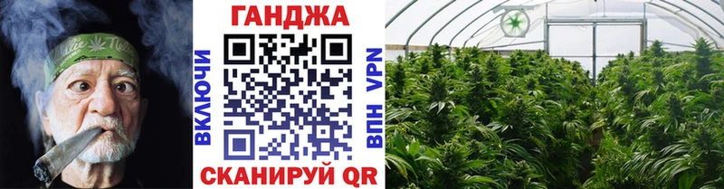 Каннабис семена наркота Высоцк